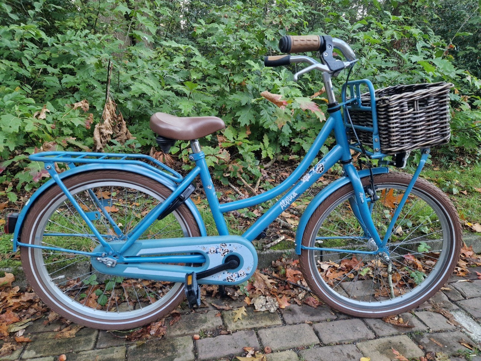 22" inch Meisjes Fiets Alpina transportfiets blauw, Ophalen, Terugtraprem, 22 inch, Gebruikt