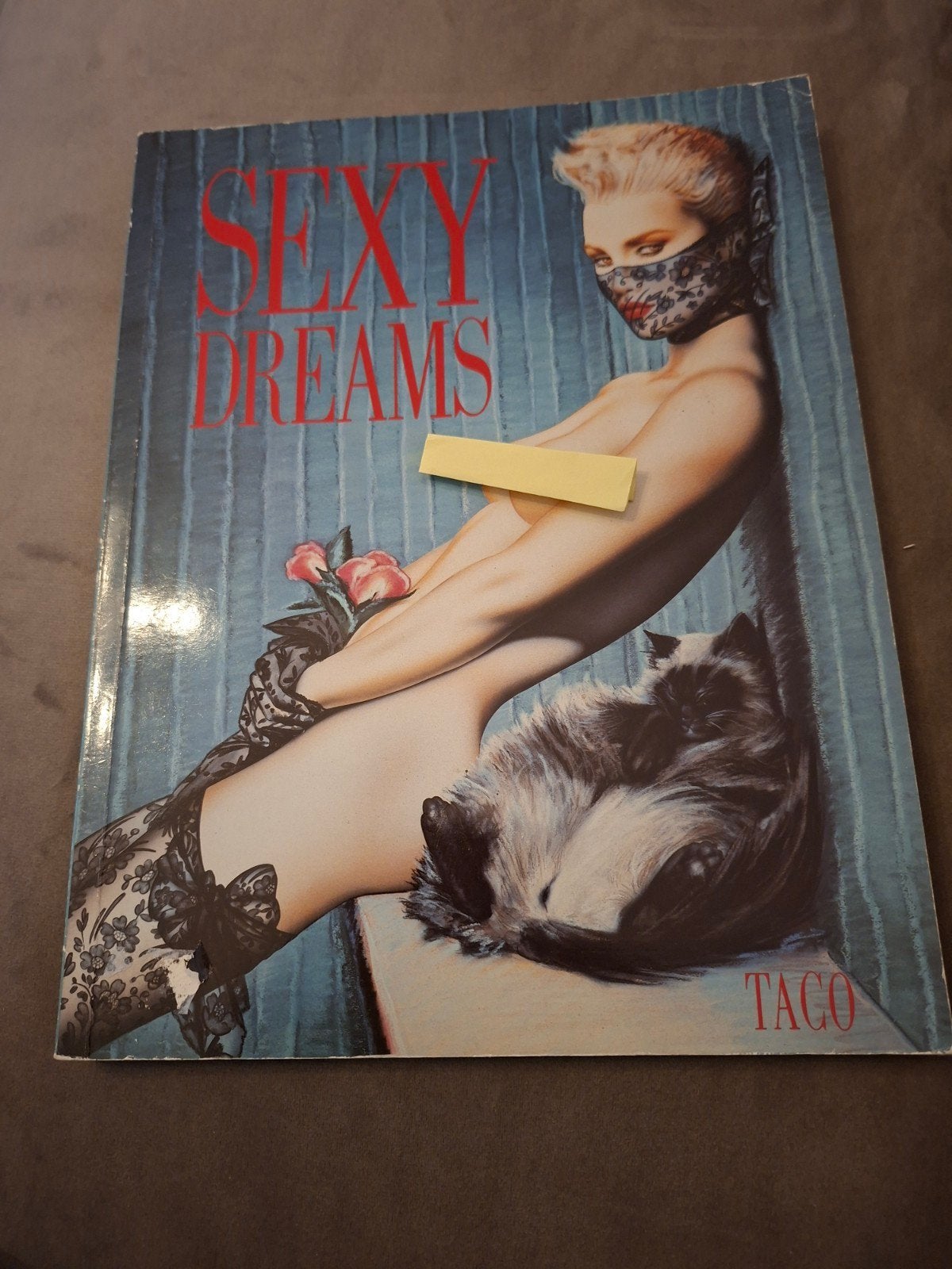 Sexy Dreams - Taco (1988) Erotische Kunstboek, Ophalen of Verzenden, Zo goed als nieuw, Taco, Europa overig