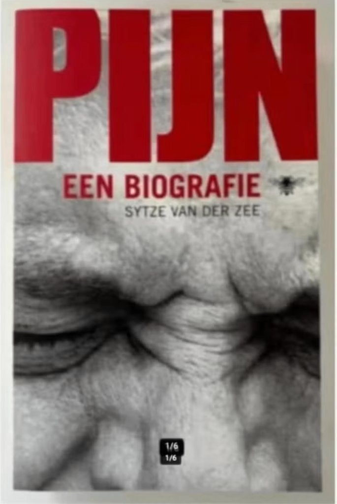 Pijn een biografie - Sytze van der Zee, Boeken, Ophalen of Verzenden, Zo goed als nieuw