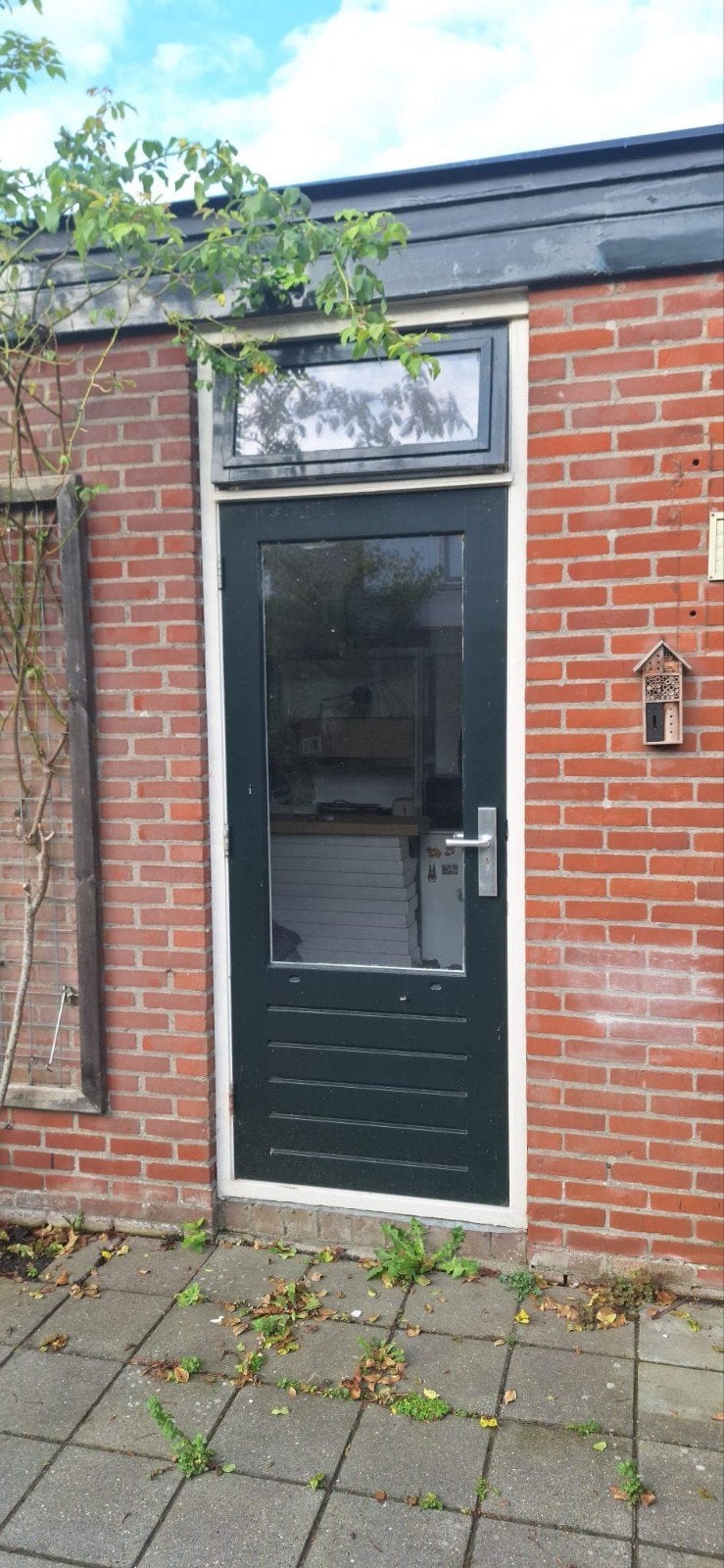 Buitendeur met raam (dubbel glas) en los bovenraam, compleet, Ophalen, Gebruikt, Buitendeur, 200 tot 215 cm