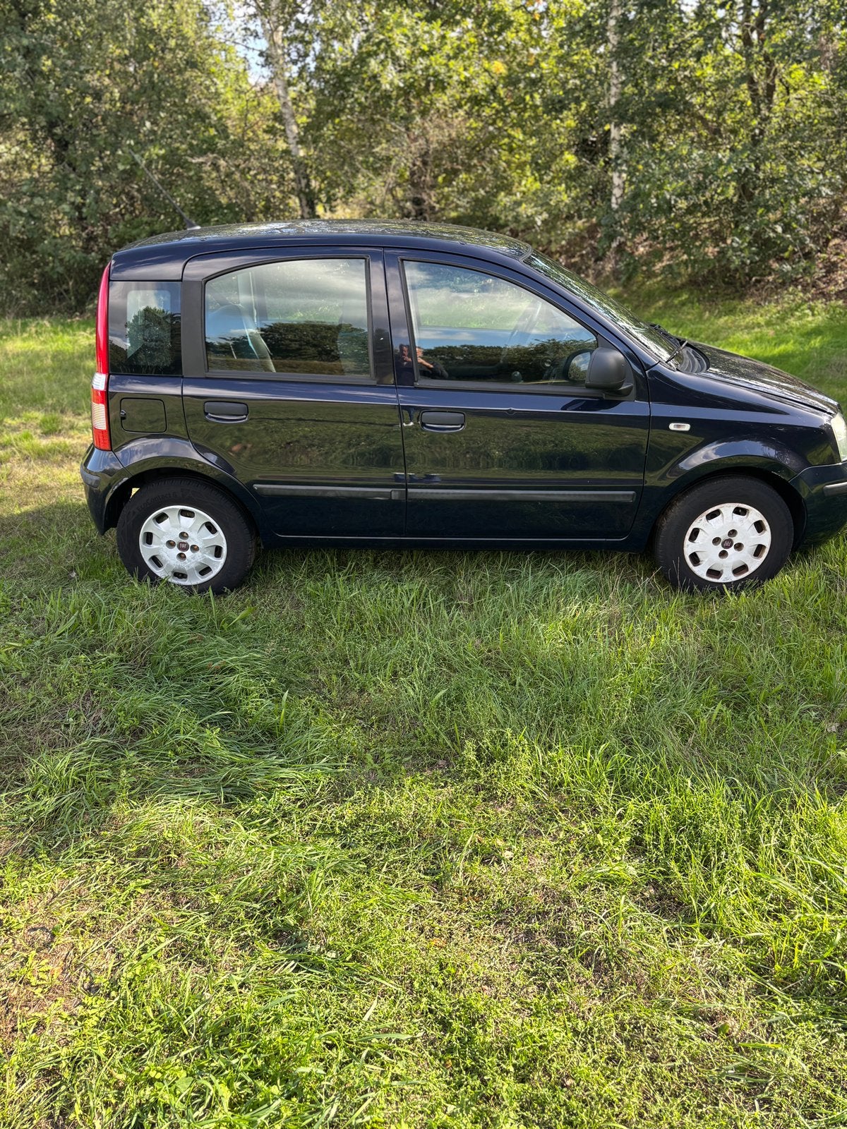 Loop/sloop fiat panda 2011, Ophalen, Fiat, Spatbord