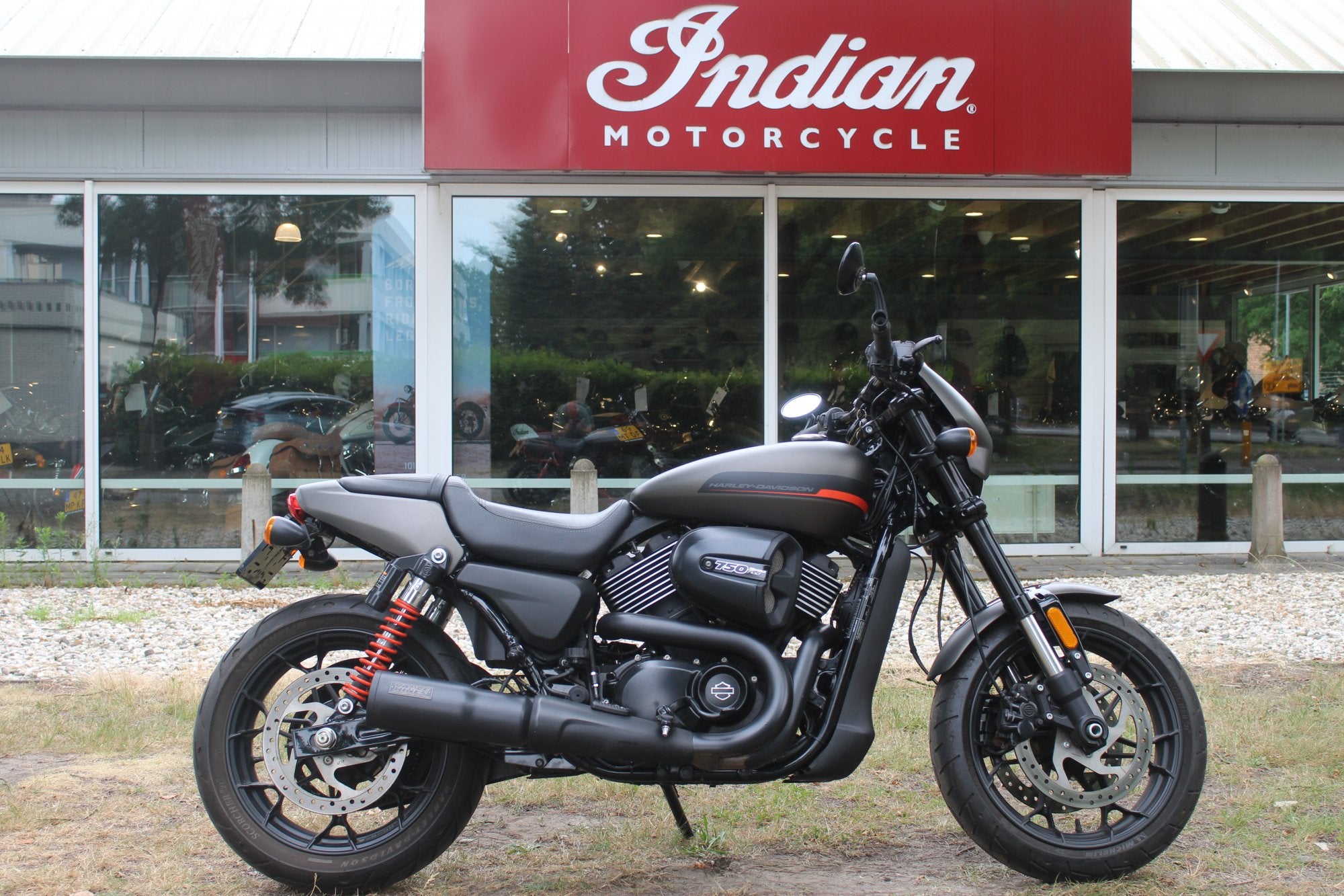 Harley-Davidson Street 750 Street Rod, Motoren, Motoren | Harley-Davidson, Chopper, Bedrijf, 749 cc, Meer dan 35 kW