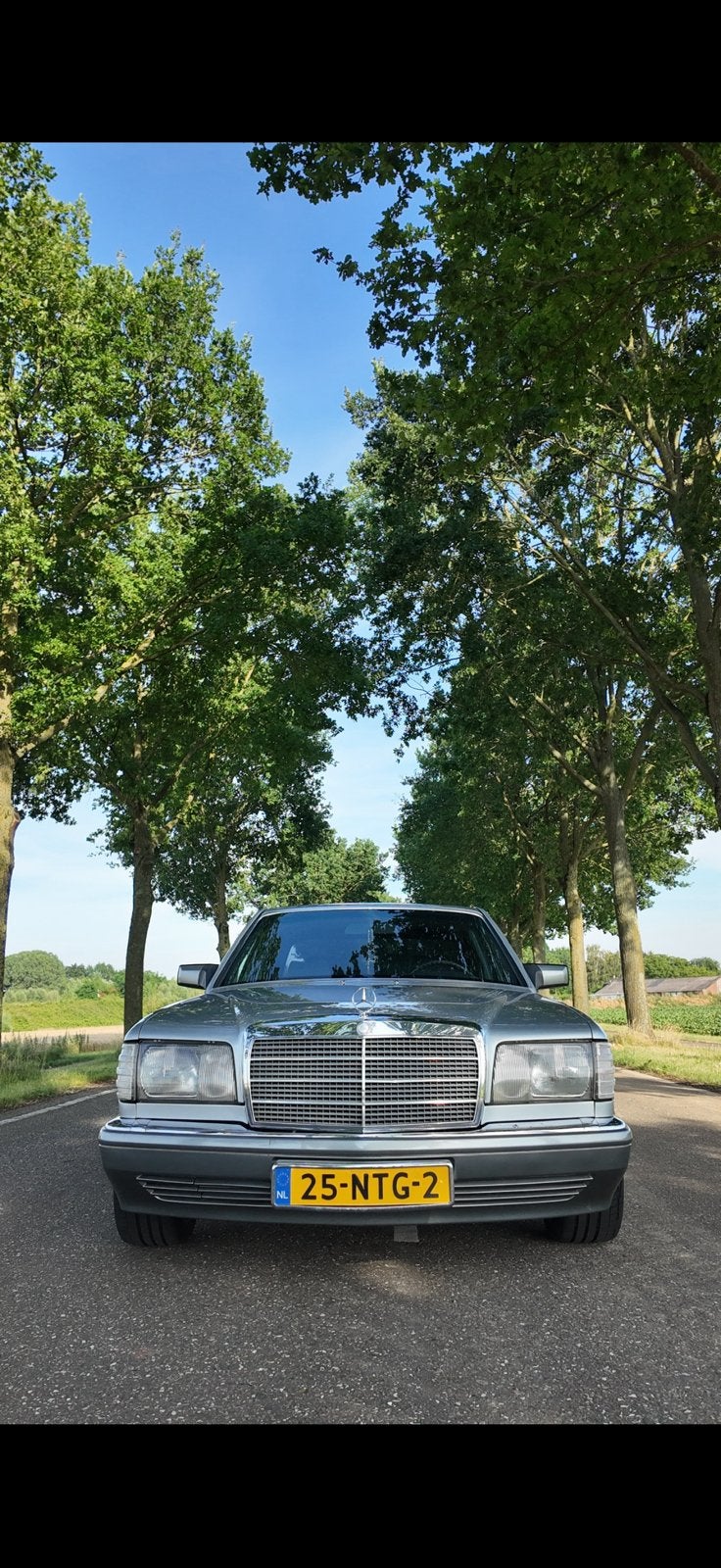 Mercedes-Benz Mercedes 1981 Grijs, Automaat, 8 cilinders, 204 pk, Sedan