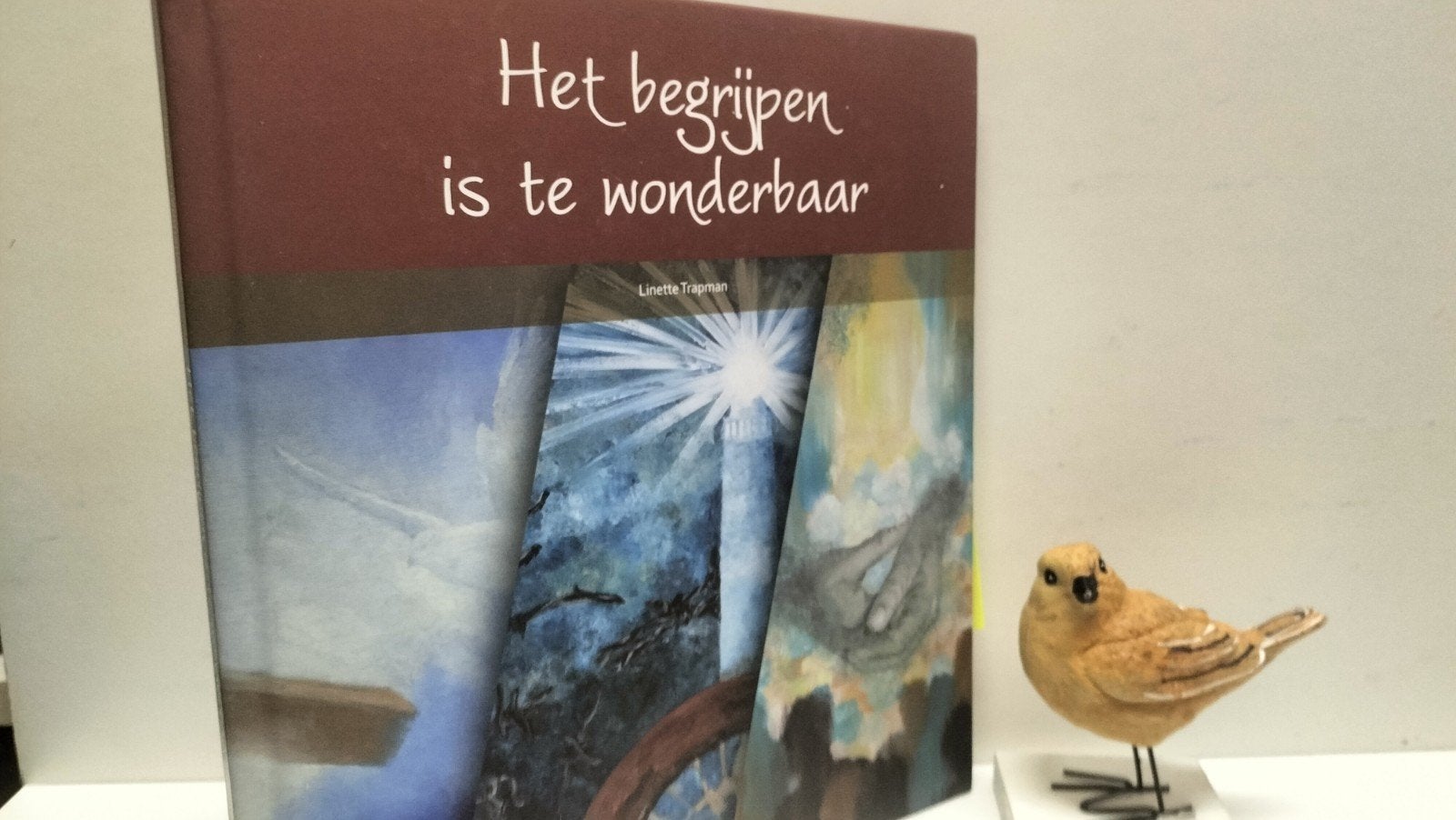 Trapman, Linette; Het begrijpen is te wonderbaar, Ophalen of Verzenden, Gelezen, Christendom | Protestants