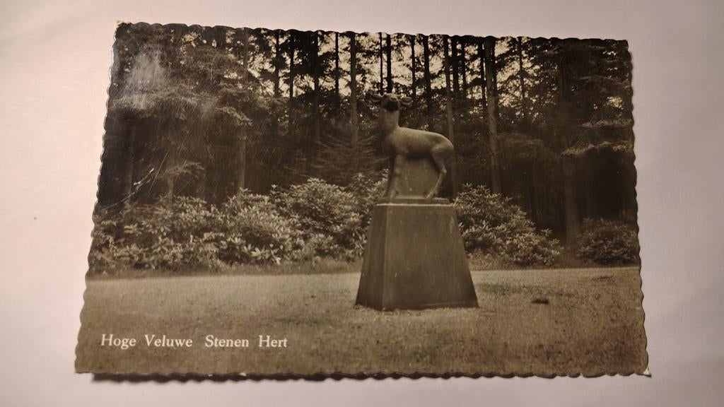 Hoenderloo Hoge Veluwe Stenen Hert, Verzamelen, Ophalen of Verzenden, 1980 tot heden, Gelderland