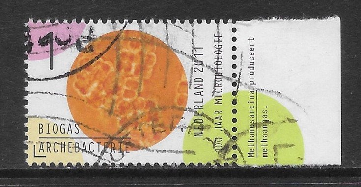 2011, Microbiologie, Biogas [2837] (K2109), Ophalen of Verzenden