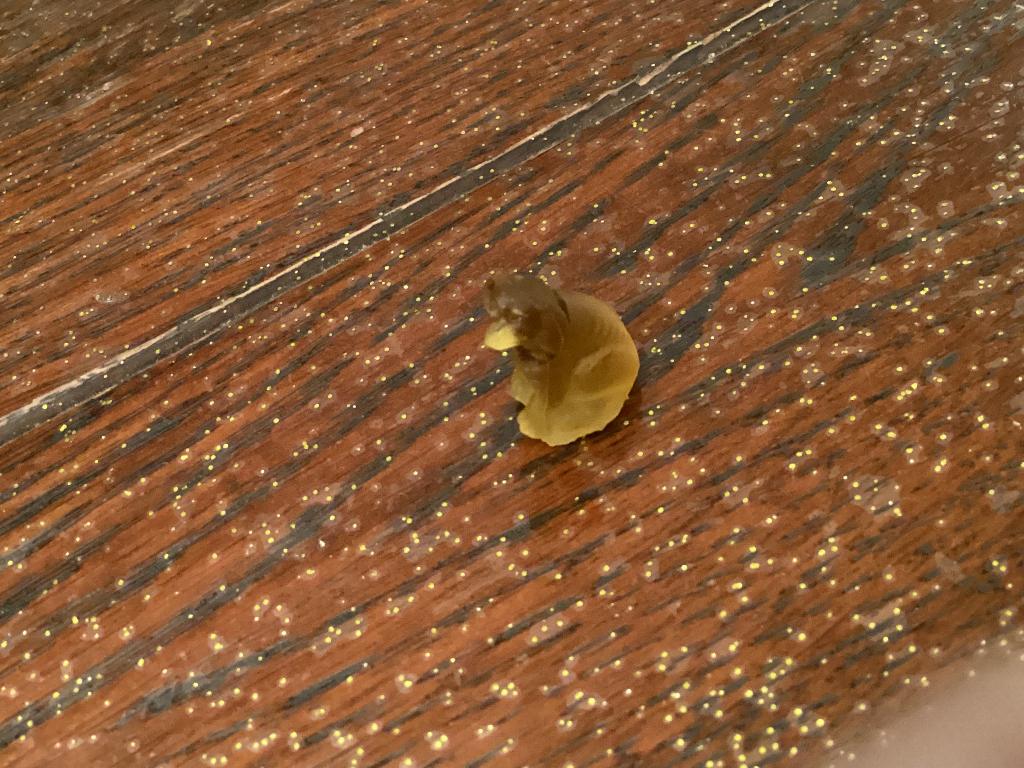 Glazen hondenbeeldje 1 cm, Ophalen, Zo goed als nieuw, Hond of Kat, Beeldje of Figuurtje