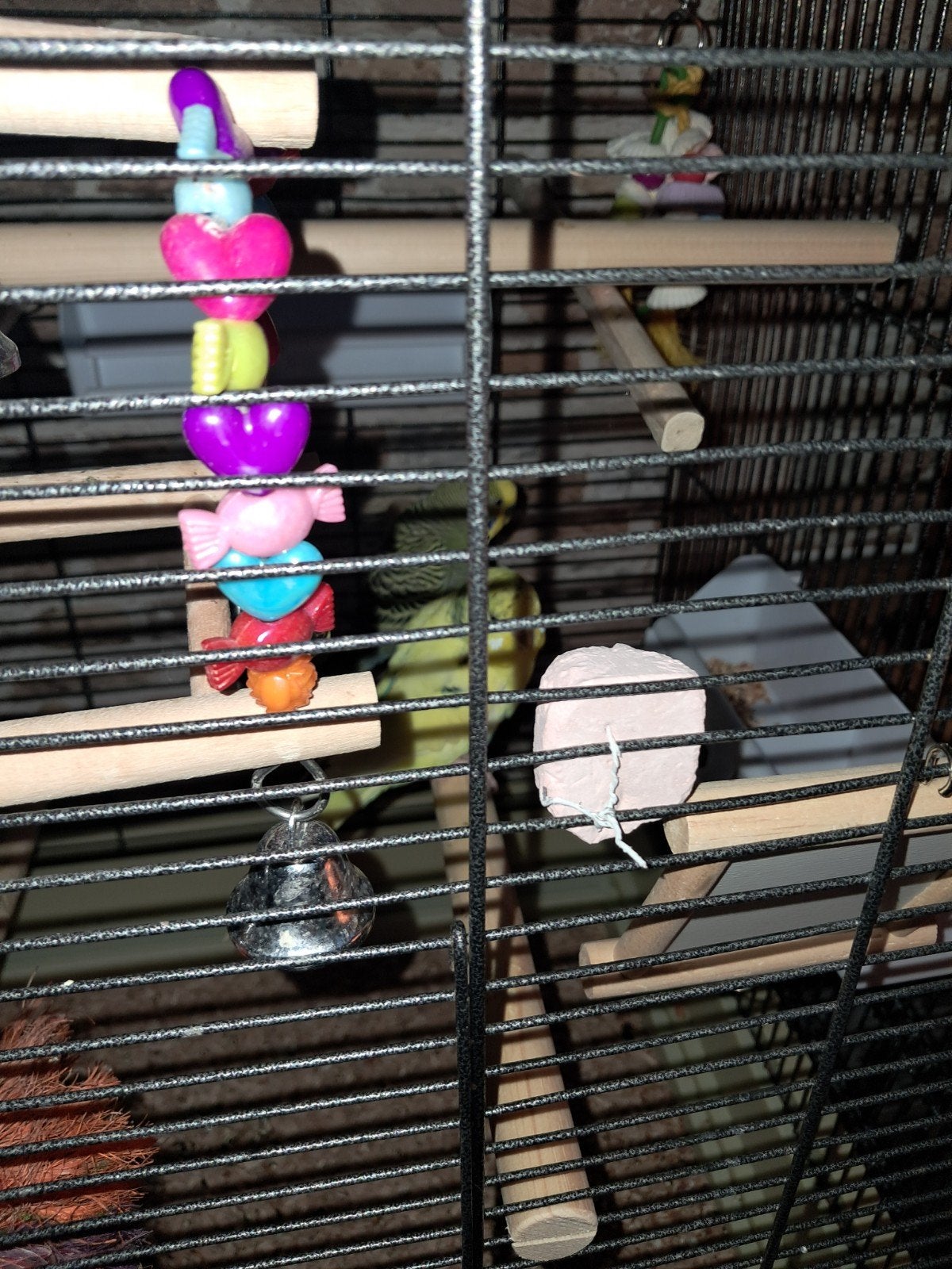 koppel  grasparkieten met grote kooi, Ophalen, Zo goed als nieuw, Metaal, Vogelkooi