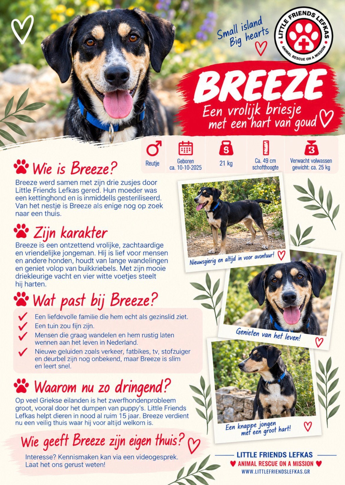 FOSTERGEZIN GEZOCHT VOOR BREEZE, Starter, Overige vormen, Overige uren, LBO / VMBO