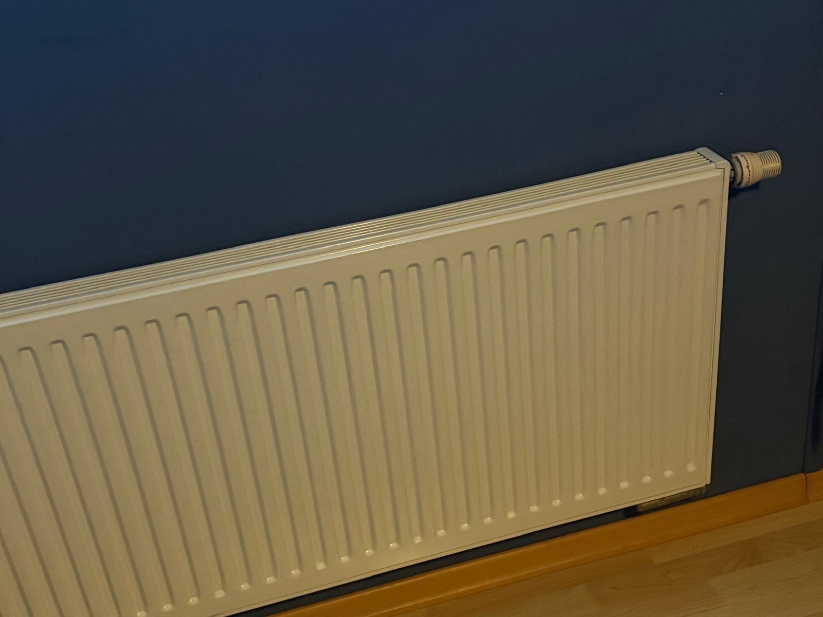 Radiator type 1760-600-11 - merk Brugman, Doe-het-zelf en Verbouw, Ophalen, 30 tot 80 cm, Gebruikt, Radiator