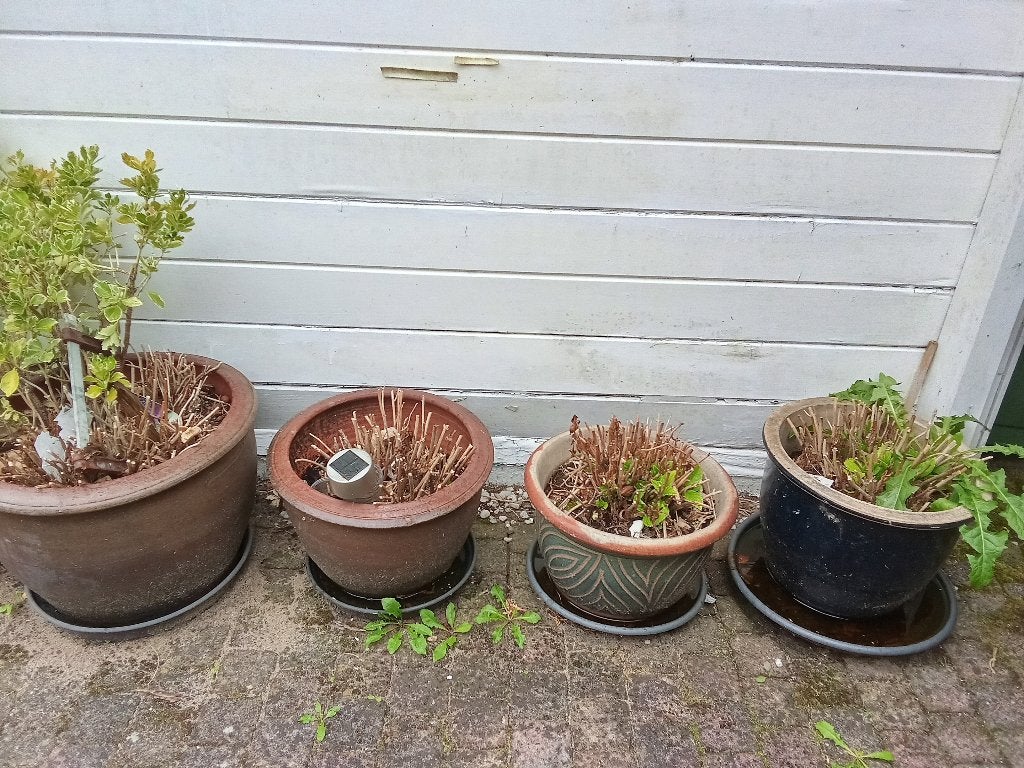 8x grote geglazuurde plantenpotten (zie alle foto's), Tuin en Terras, Ophalen, Rond, Aardewerk, Minder dan 25 cm