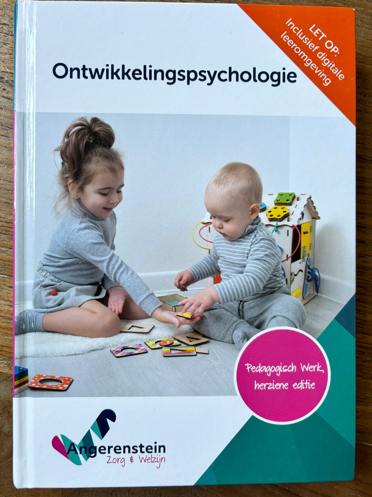 Ontwikkelingspsychologie MBO Onderwijsassistent Niveau 4 NIE, Ophalen of Verzenden, Gamma, Nieuw, MBO