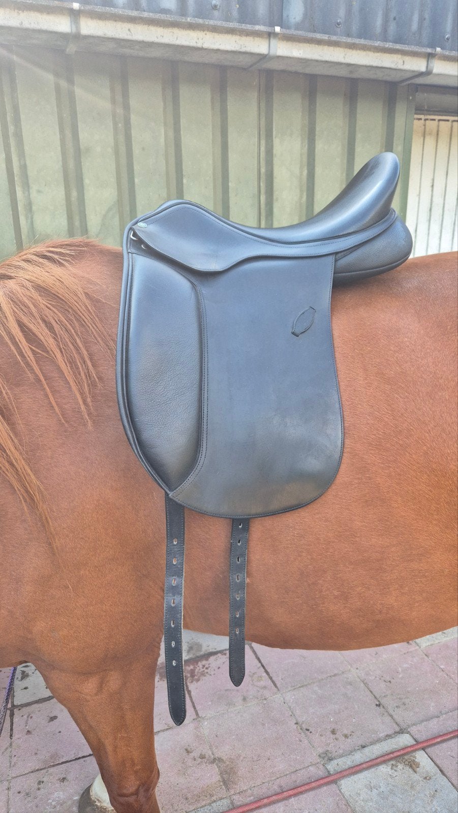 Arena dressuur zadel wide 17,5, Ophalen, Aanpassysteem, L (17.5 inch), Gebruikt