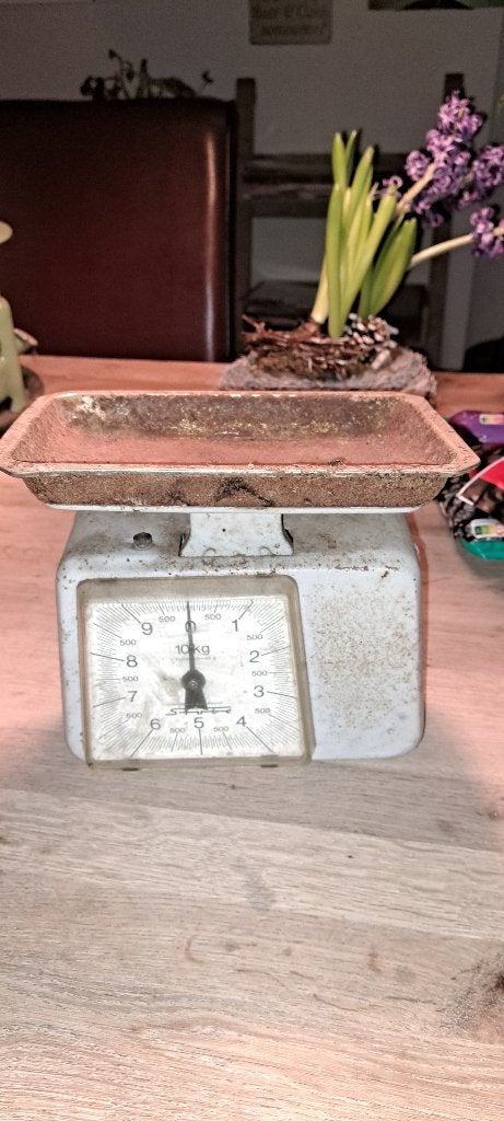 Oude weegschaal (Z248-81), Witgoed en Apparatuur, Ophalen of Verzenden, Gebruikt, Personenweegschaal, Minder dan 10 kg