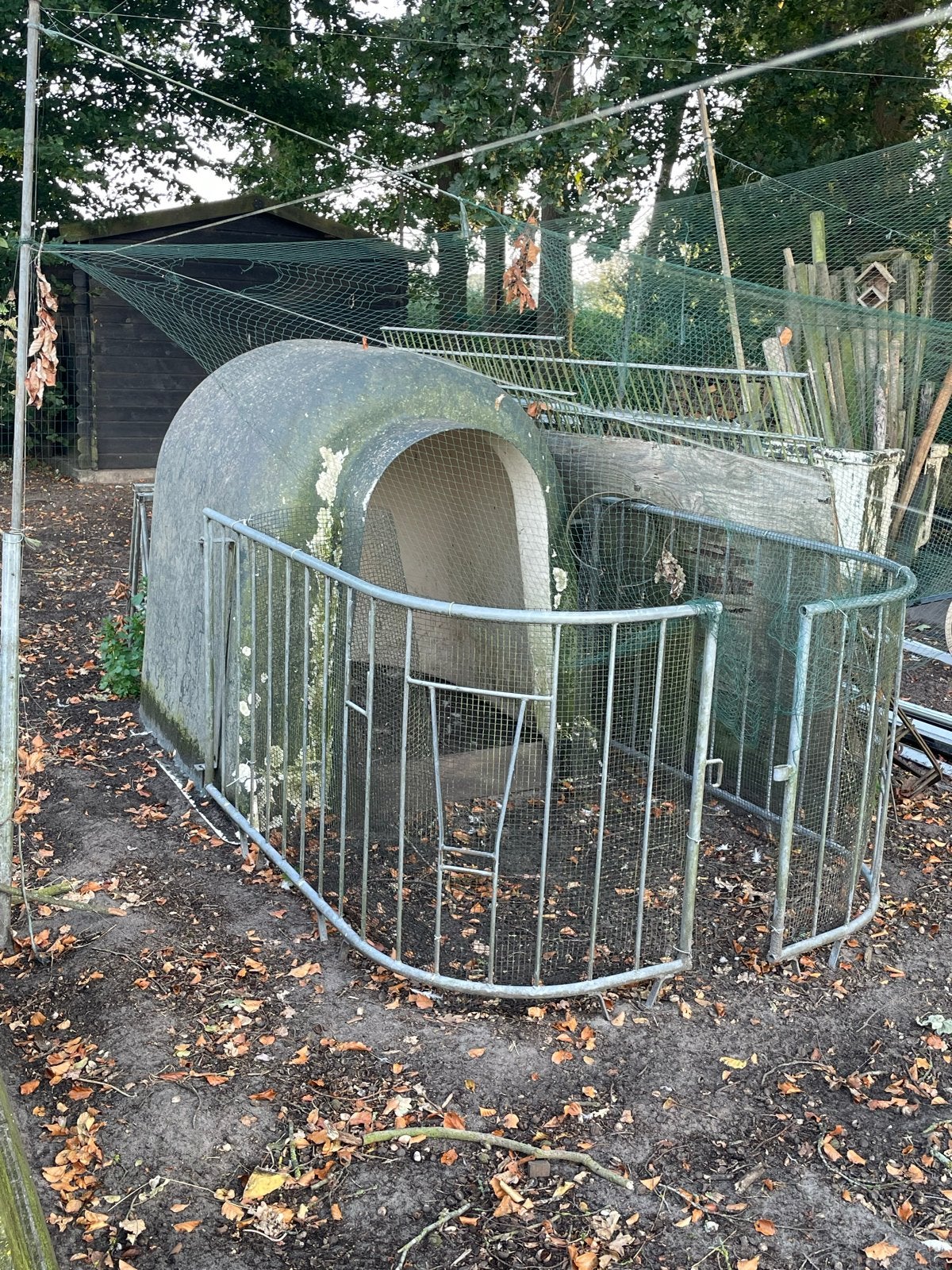Teab kalveriglo, Ophalen, 110 cm of meer