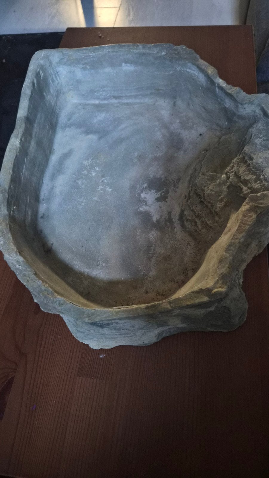 reptiel erg grote water bak 50x40x12 cm, Dieren en Toebehoren, Ophalen
