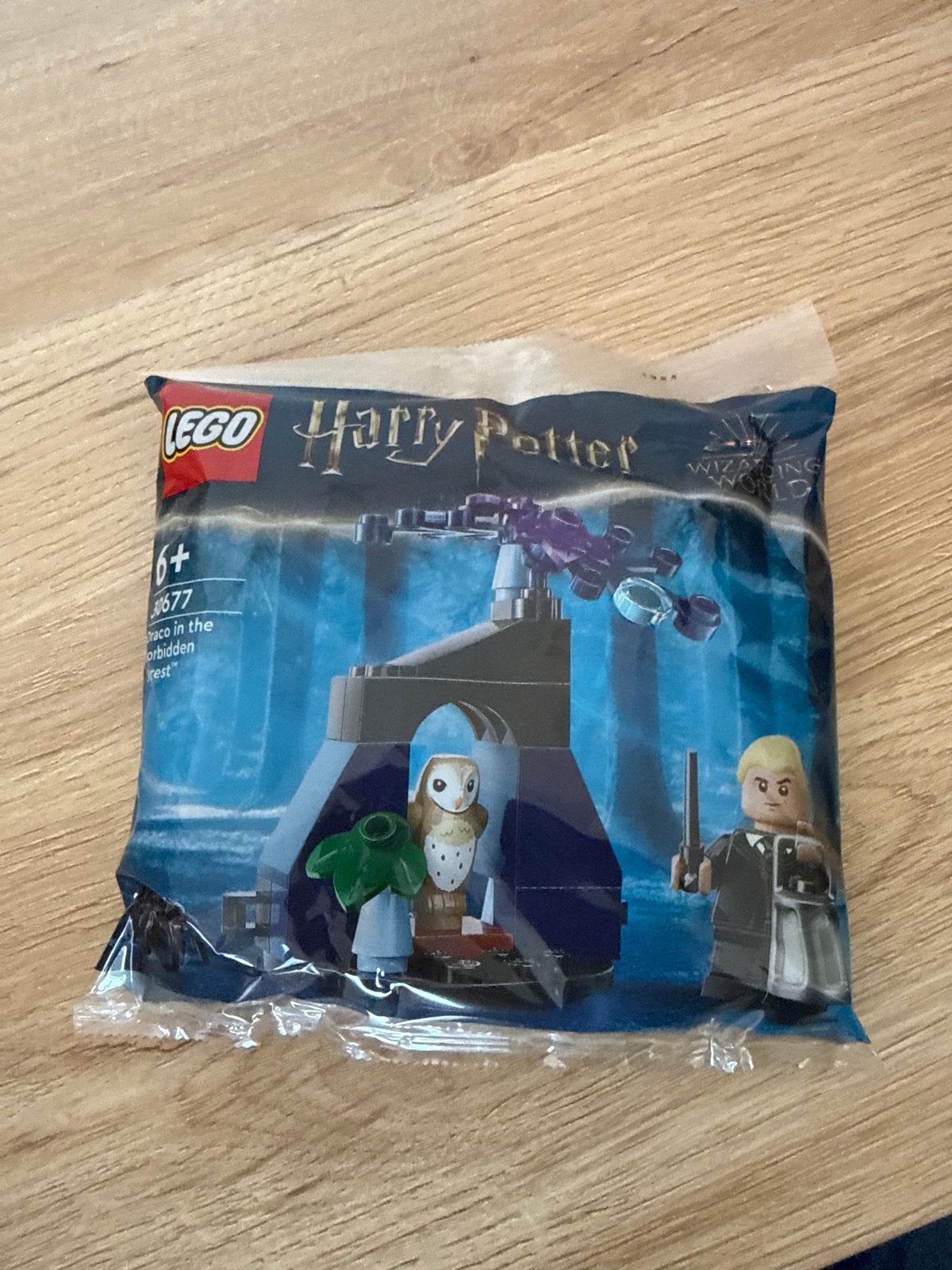 LEGO Harry Potter Draco in the Forbidden Forest (30677), Ophalen of Verzenden, Nieuw, Overige merken