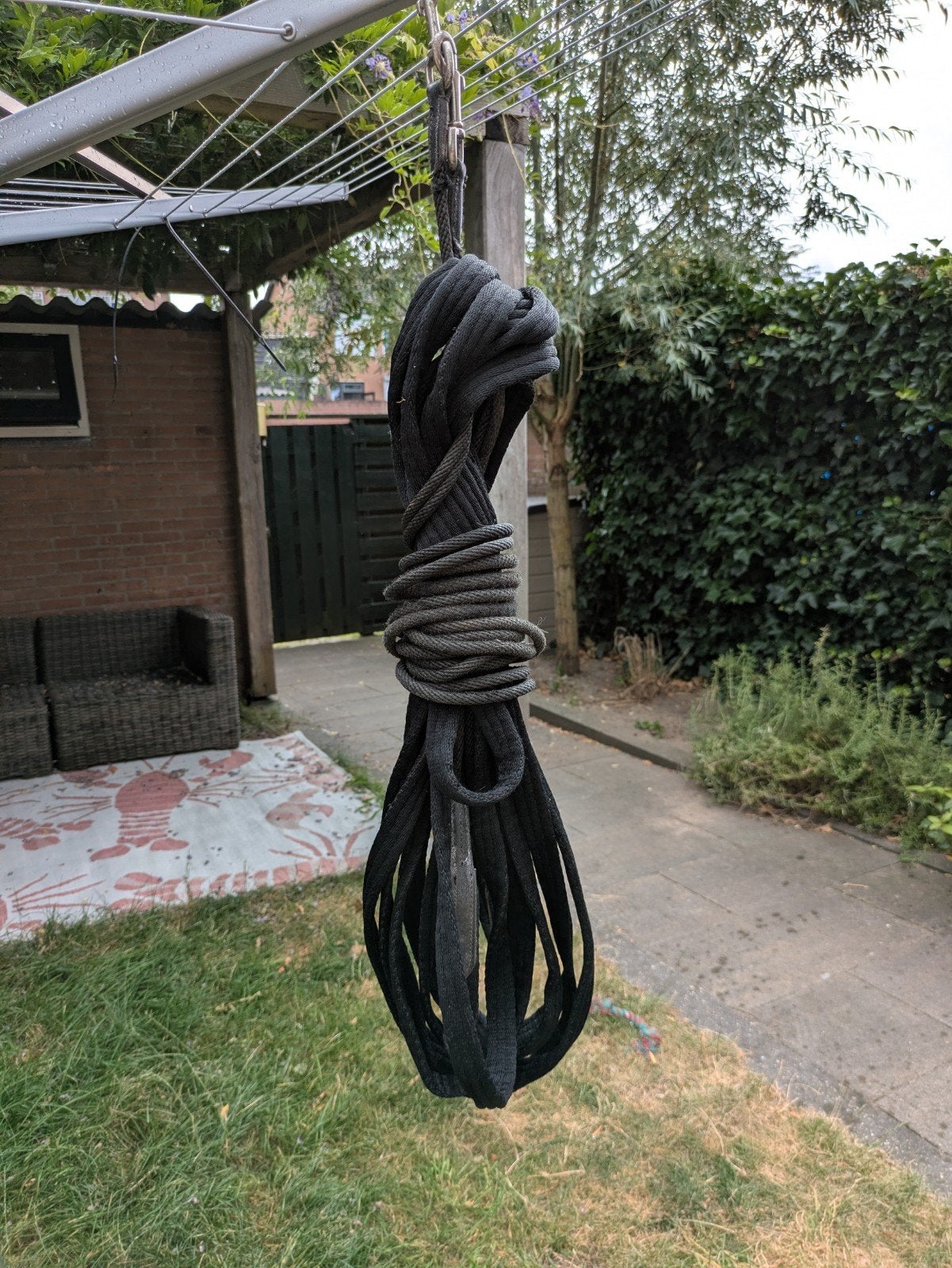pfiff dubbele longeerlijn, Ophalen of Verzenden