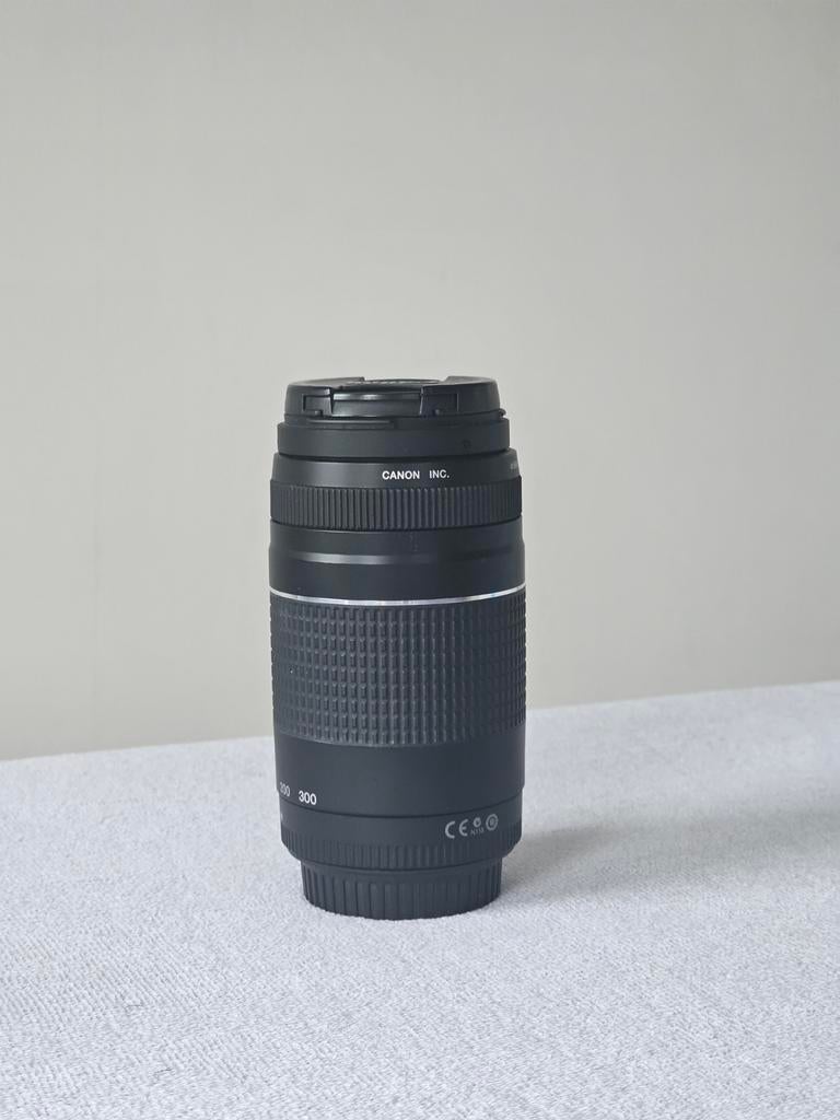 Canon EF 75-300mm f/4-5.6 III Uitstekende staat, Audio, Tv en Foto, Fotografie | Lenzen en Objectieven, Ophalen of Verzenden, Zo goed als nieuw