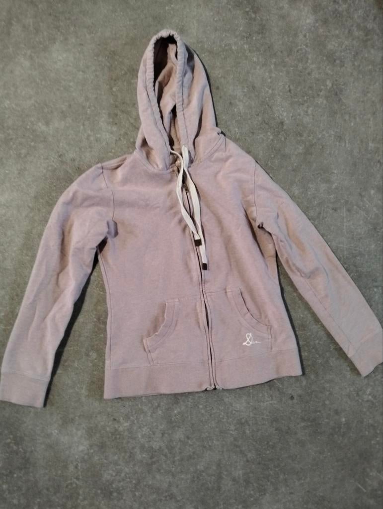 Daz Hoodie Maat L - Comfortabele Hooded Sweater, Kleding | Dames, Overige kleuren, Maat 42/44 (L), Daz, Ophalen of Verzenden