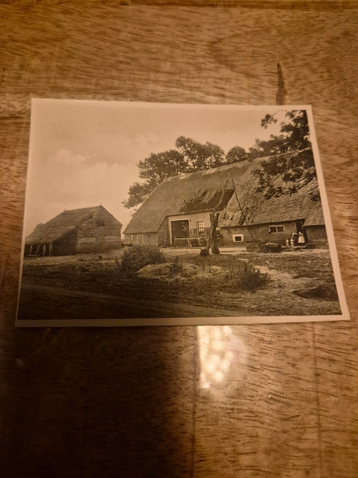 Oude foto boerderij met mensen en melkkannen, Ophalen of Verzenden