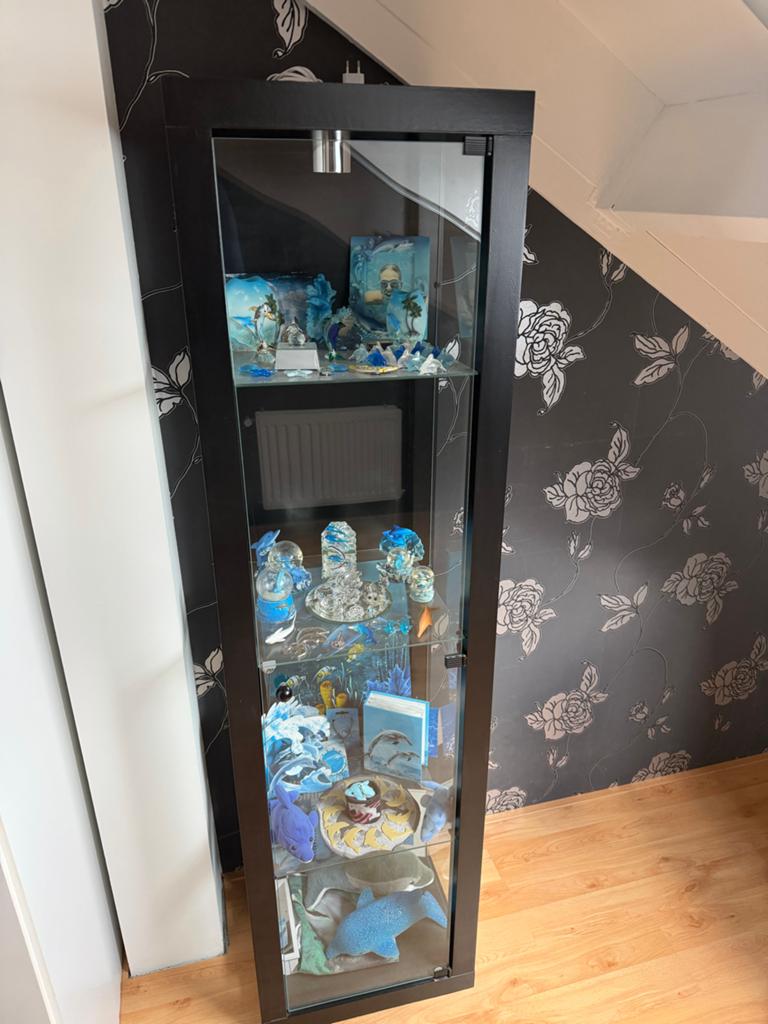 Vitrinekast met Glazen Deur en Planken, Huis en Inrichting, Kasten | Vitrinekasten, Ophalen, Minder dan 50 cm, Gebruikt, Glas