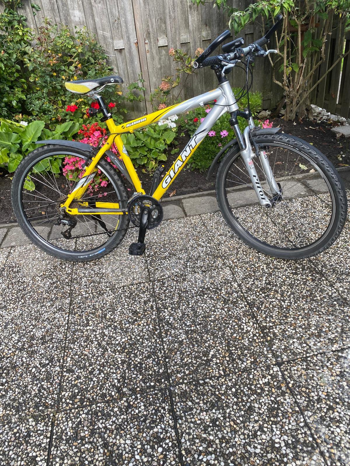 Giant, 49 tot 53 cm, Ophalen, Zo goed als nieuw, Giant