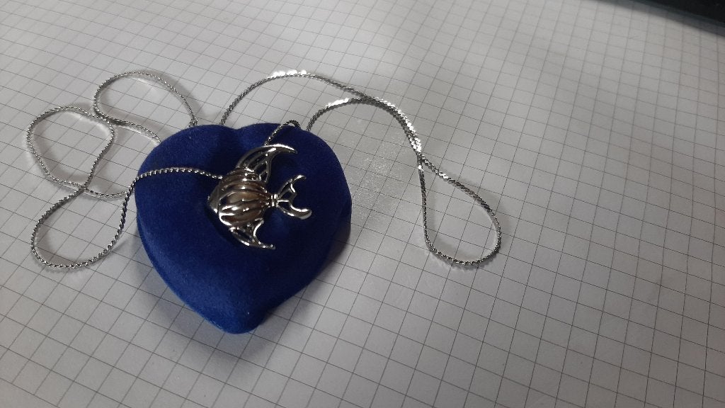 ketting, Ophalen of Verzenden, Zo goed als nieuw, Zilver, Overige materialen