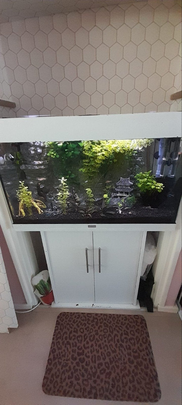 mooie aquarium compleet, Ophalen, Gebruikt, Inclusief vissen, Gevuld zoetwateraquarium