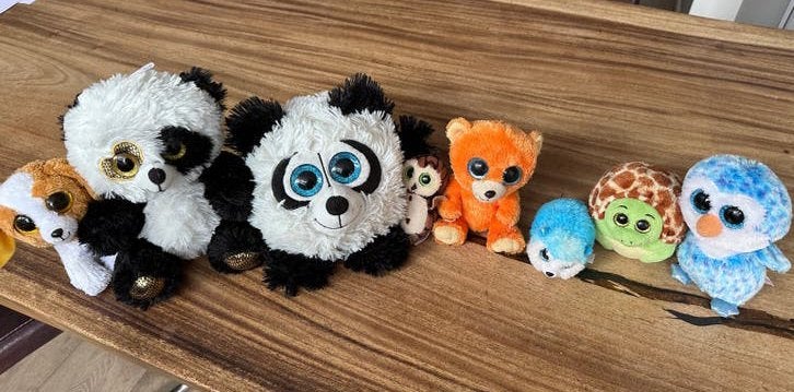 Leuke collectie Ty (oa) Beanie Boo's knuffels, Gebruikt, Overige typen, Zwart, Ophalen of Verzenden