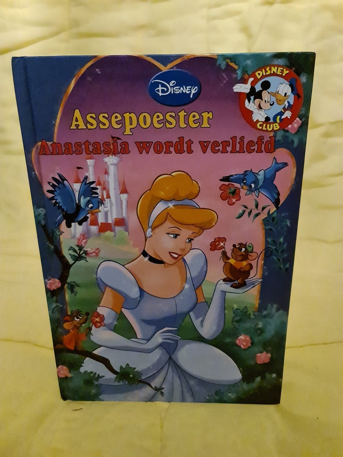 Disney Assepoester: Anastasia wordt verliefd, Kinderleesboek, Boeken, Ophalen of Verzenden, Zo goed als nieuw, Disney, Sprookjes