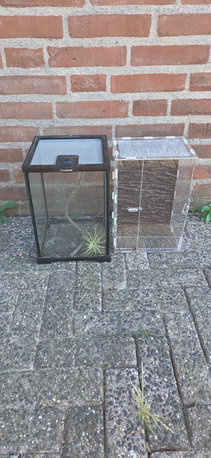 Terrarium voor insecten, Dieren en Toebehoren, Ophalen