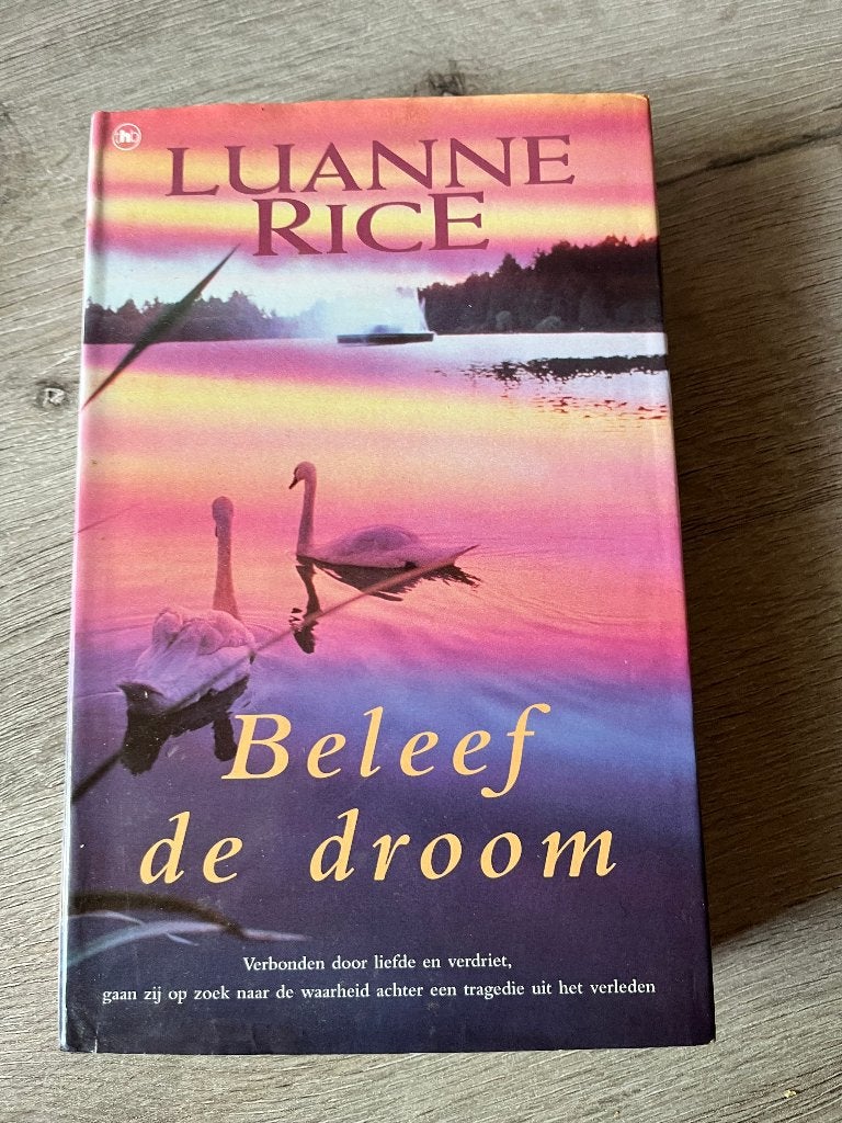 Boek Beleef de droom, Boeken, Ophalen of Verzenden, Gelezen, Luanne Rice, Nederland