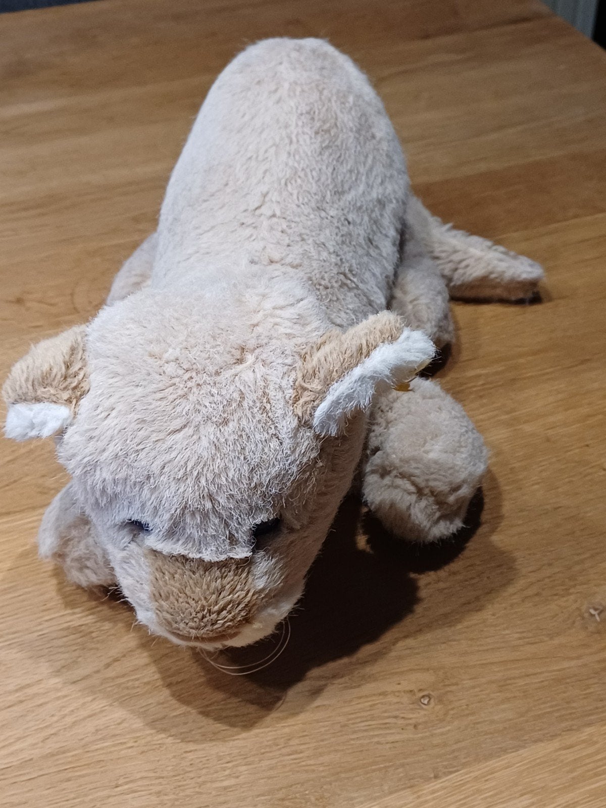 Leeuwtje van Steiff met knopje en vaantje, Ophalen of Verzenden, Overige typen