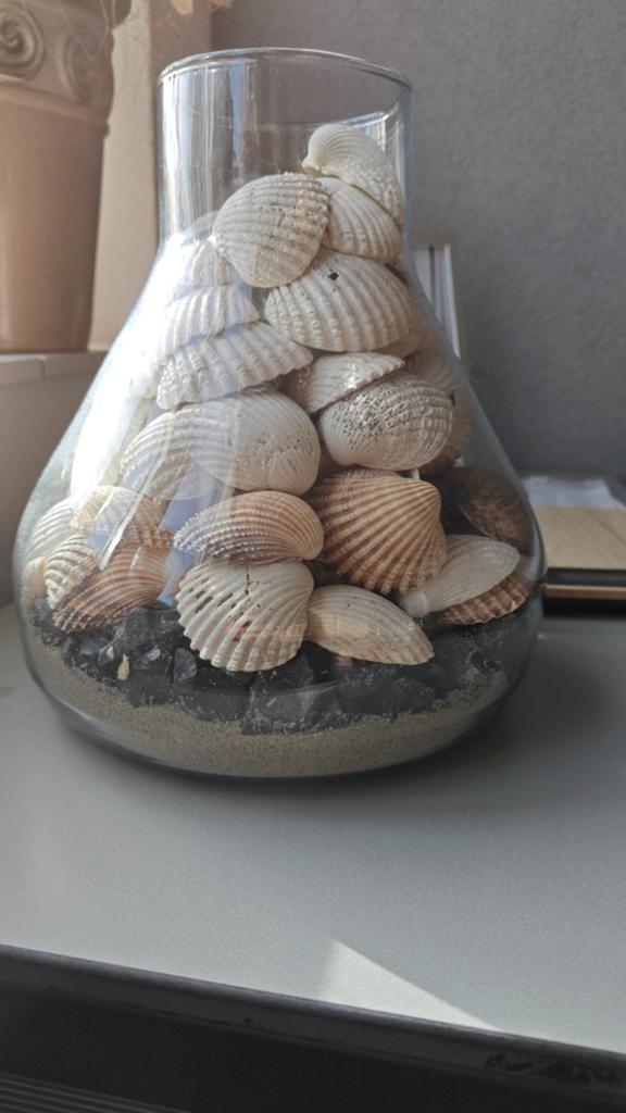 Decoratieve glazen vaas met schelpen en zand, Ophalen, Meerkleurig, Mediterraans, Zo goed als nieuw