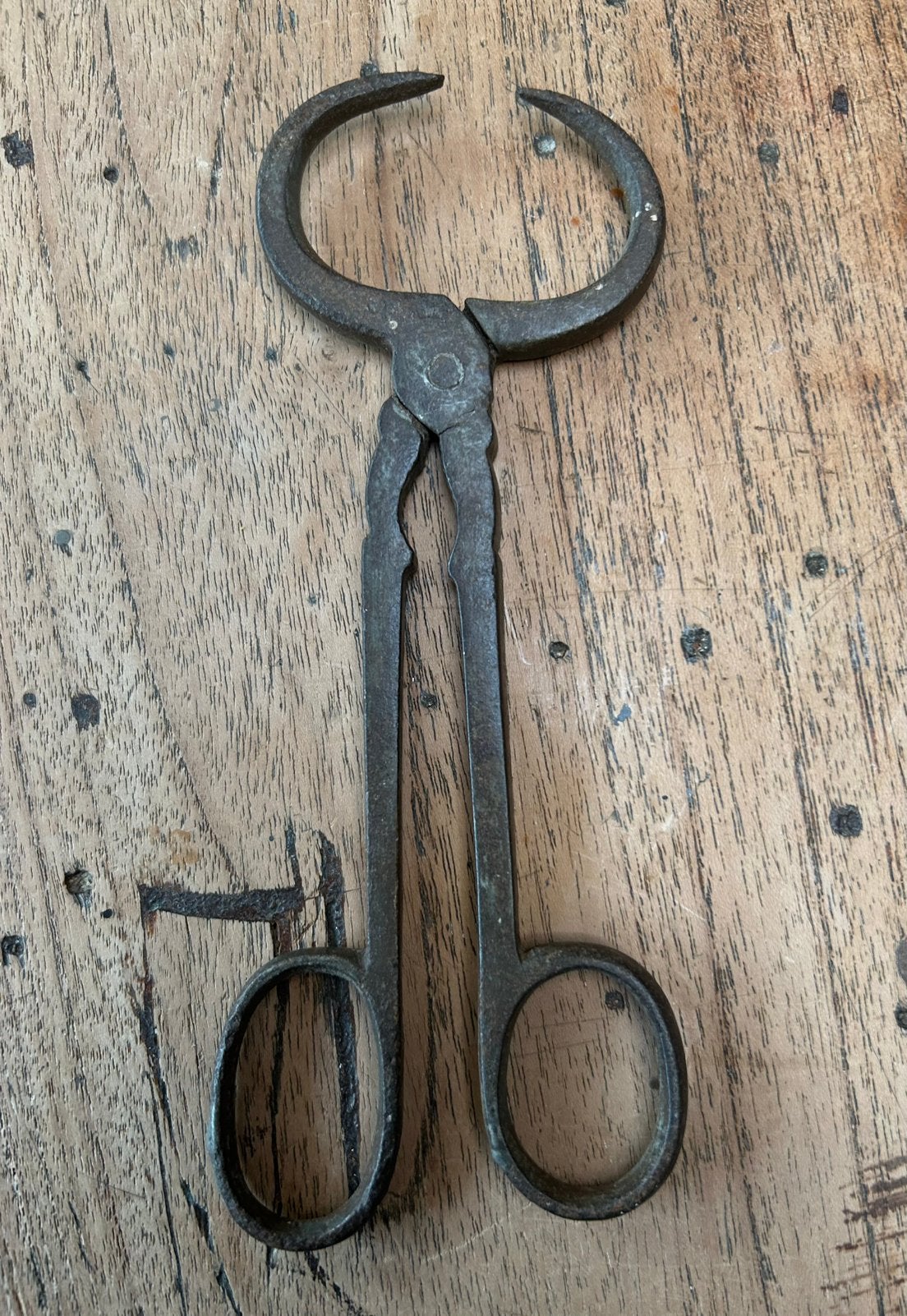 Antieke suikerbreektang kandijtang, Ophalen of Verzenden