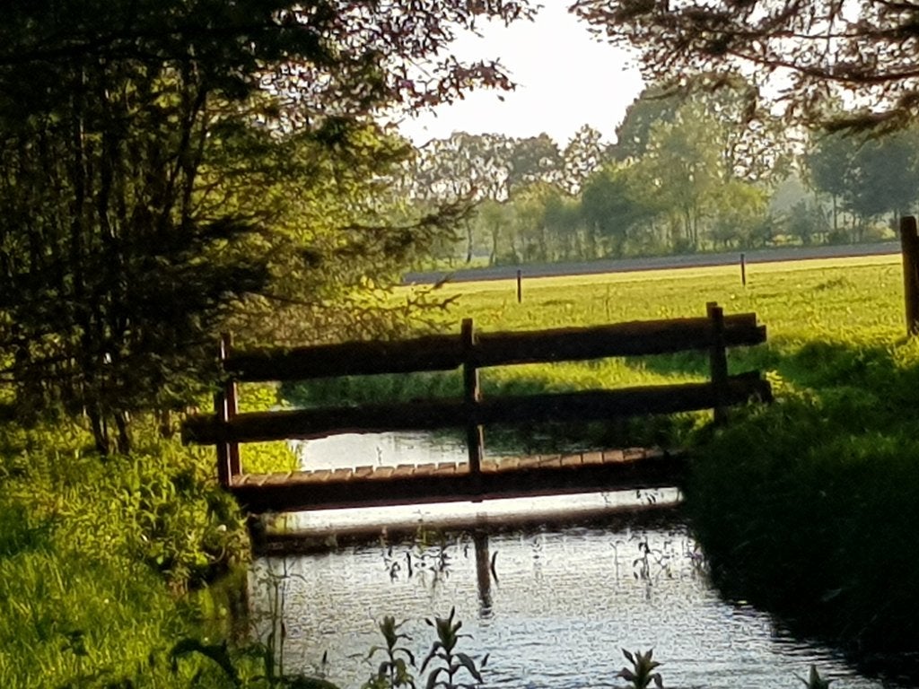 Foto 15 van Rolstoeltoegankelijke bungalow op landgoed, 30okt-6nov vrij!