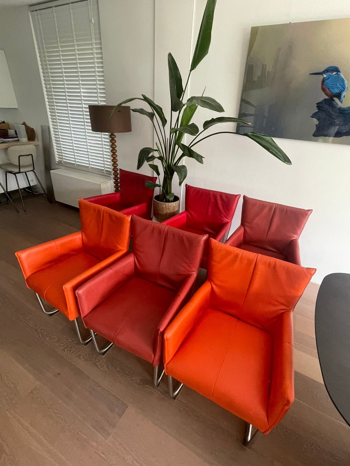 Jess stoelen eetkamer stoelen, Ophalen, Overige kleuren, Leer, Zo goed als nieuw