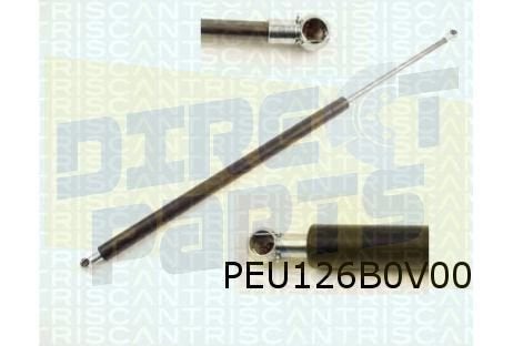 Peugeot 607 (1/01-9/10) Gasveer motorkap Links of Rechts OES