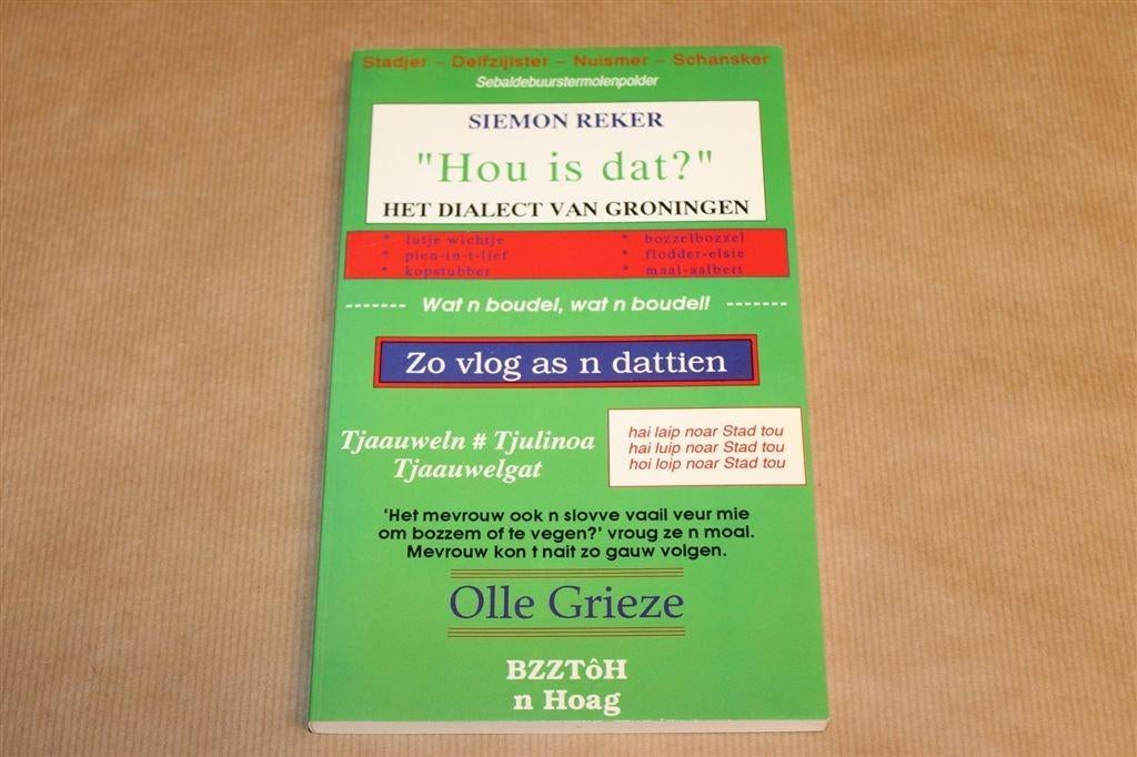 “Hou is Dat?” — Dialect van Groningen — Siemon Reker, Ophalen of Verzenden, Zo goed als nieuw