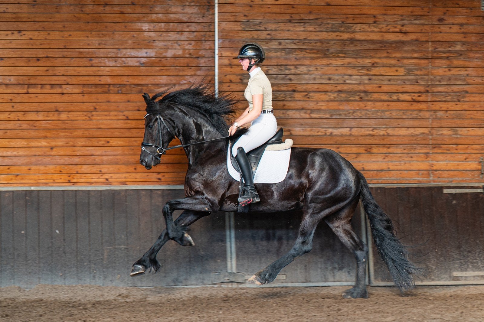 Leuke brave Friese sportmerrie, Dieren en Toebehoren, Paarden, Merrie, Dressuurpaard, 3 tot 6 jaar, 160 tot 165 cm