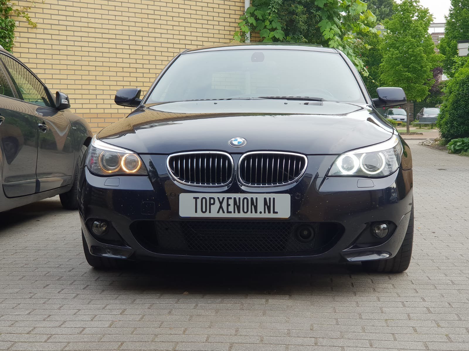 BMW Angel Eyes H8 Cree LED – Canbus – 6000K, Ophalen of Verzenden, Nieuw, BMW