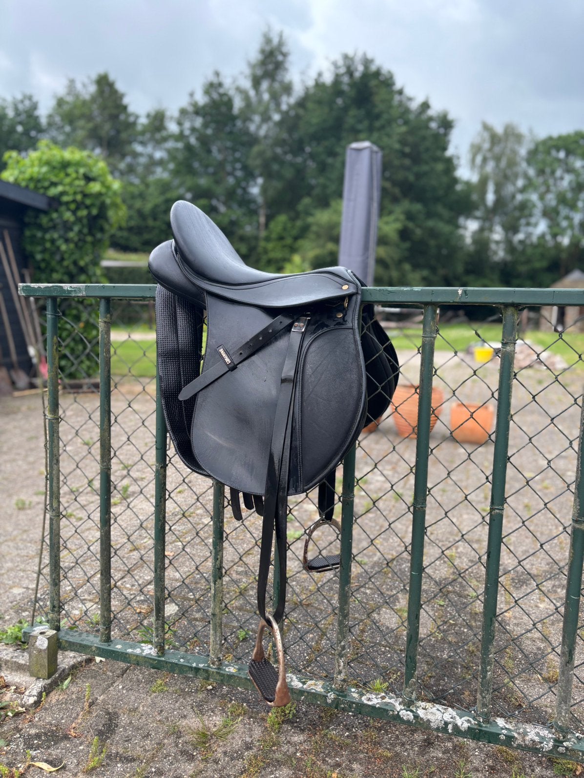 Paardrij zadel wintec 16 inch D pony veelzijdigheid, Dieren en Toebehoren, Paarden en Pony's | Zadels, Ophalen