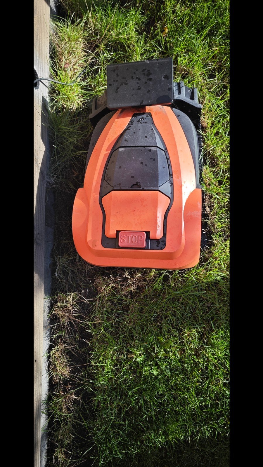 Zoef Robot Zoef Robot robotmaaier Dirk met App <600 m2, Tuin en Terras, Ophalen, Gebruikt, Minder dan 20 cm, Zoef