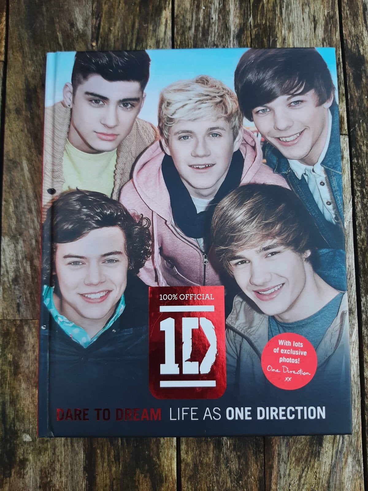 One Direction: Dare to Dream - Life as One Direction, Ophalen of Verzenden, Gelezen, One Direction, Europa overig