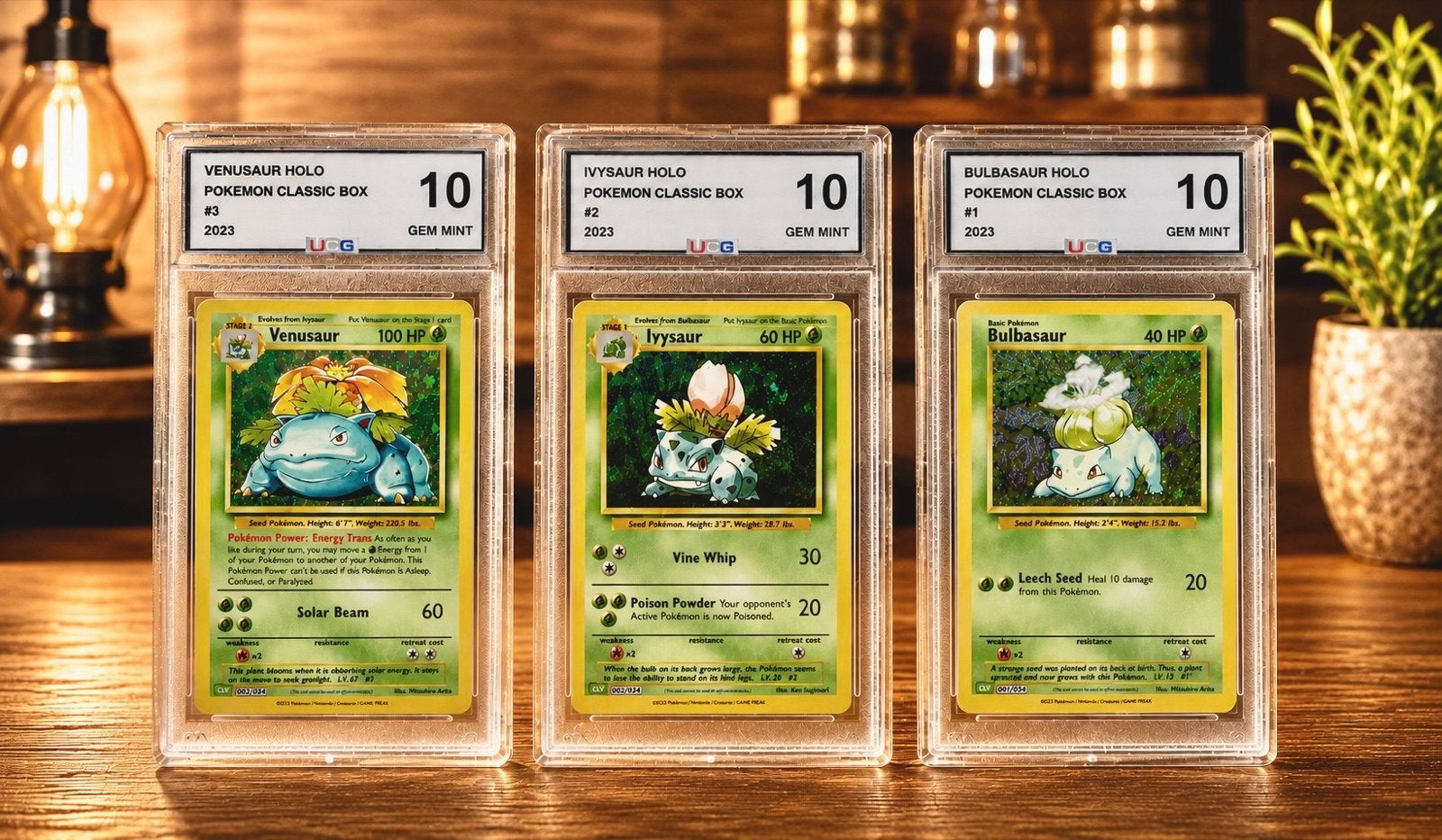Pokémon Classic Box Holo Set: Venusaur, Ivysaur, Bulbasaur, Ophalen of Verzenden, Nieuw, Meerdere kaarten, Foil