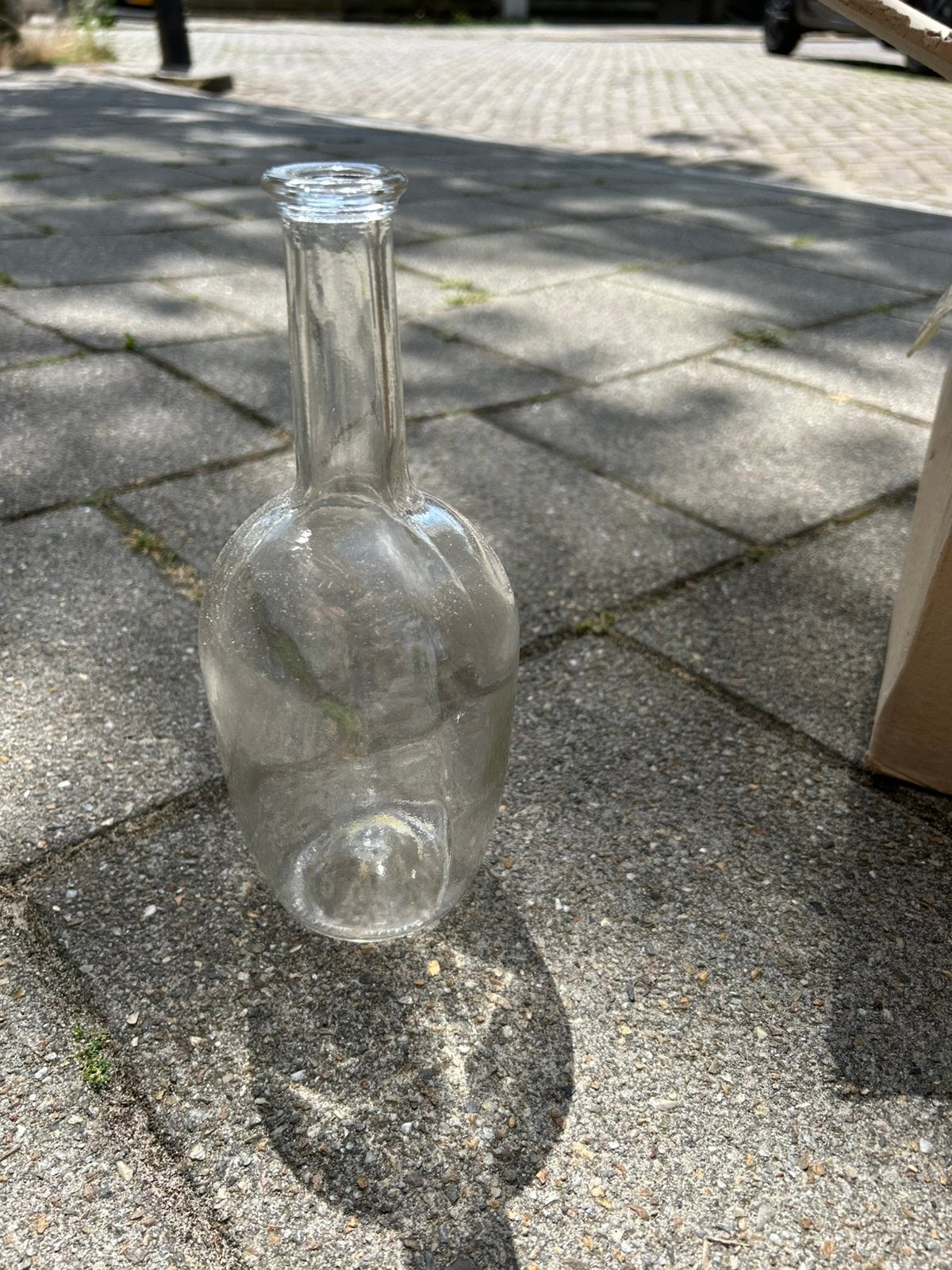 Decoratieve wespen/vliegen vangers, Ophalen, Zo goed als nieuw