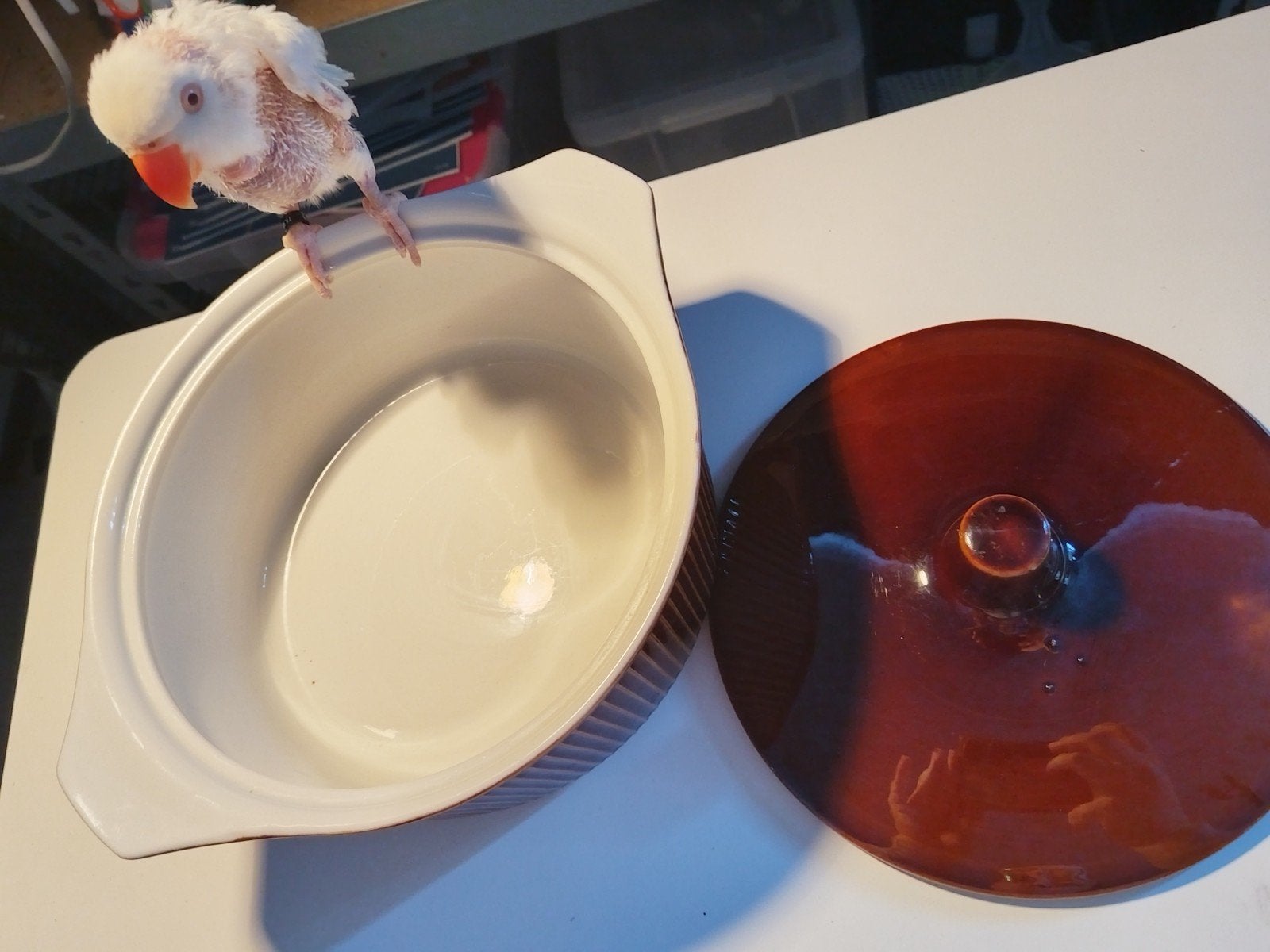 Keukenitems: Braadslee, koekenpan en ovenschaal, Ophalen, Zo goed als nieuw, Rvs of Chroom