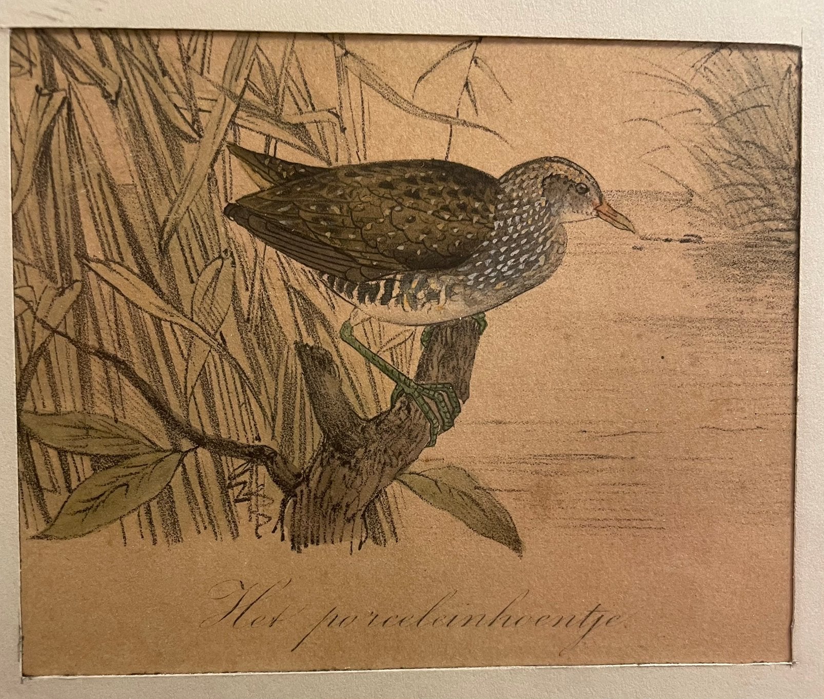 2 Prenten met vogel, Ophalen