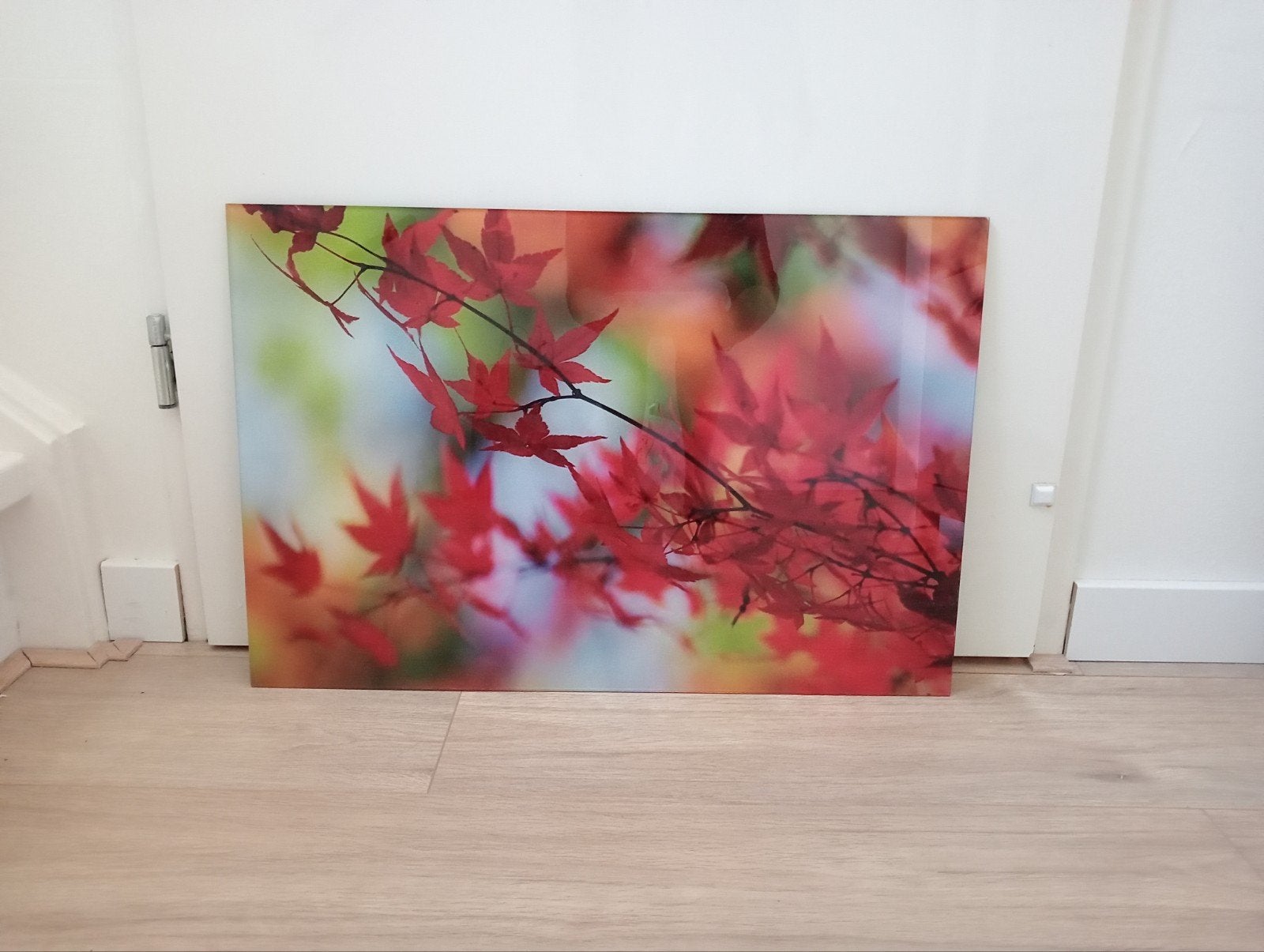 GRATIS Kleurrijk plexiglas schilderij met herfstbladeren, Huis en Inrichting, Woonaccessoires | Schilderijen, Tekeningen en Foto's